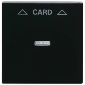 Centrumplatta Endast denna vecka